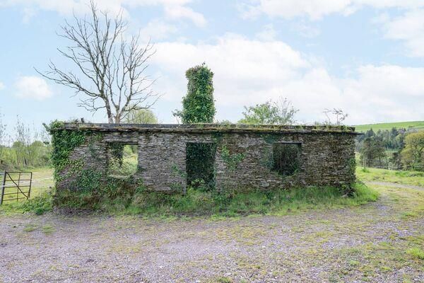 Cheap Irish Home potential?